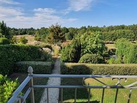 Uitzicht op tuin
